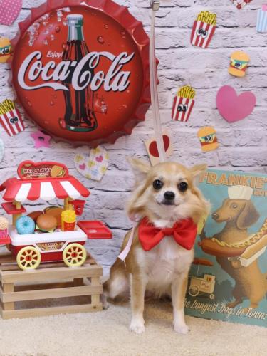 20230902りるちゃん